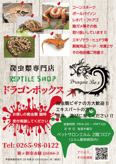 Dragon Boxの画像1