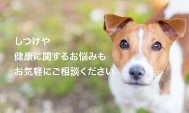 ペットガーデン八戸の画像3