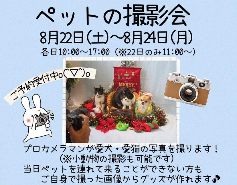 ディスワン 新潟西店