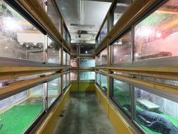 オオトカゲ生体展示館MonitorParkNeoの画像2