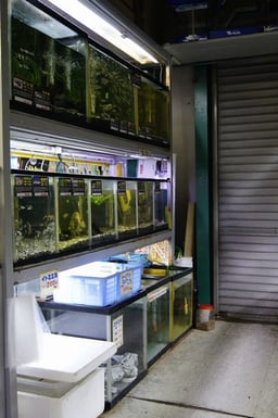 ぺっとふりーくの画像2