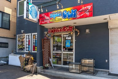 トロピカルジェムの画像1