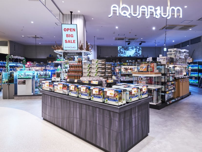 ひごペット イオンモール鳥取北店