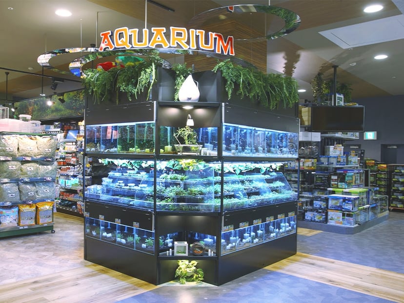 ひごペット イオンモール出雲店