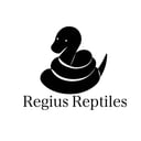 Regius Reptiles