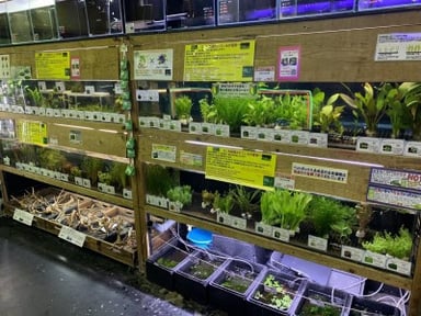ペットボックス北谷店の画像2