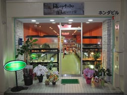 Herptile Lovers(ハープタイル ラバーズ)の画像1
