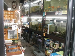 アクアルーム兵庫の画像3