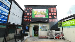 爬虫類カフェ ROCK STAR 松原店(旧:ミニラズファクトリー)の画像1