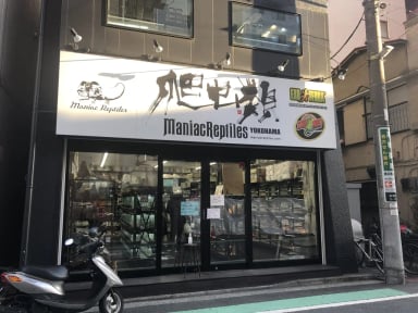 マニアックレプタイルズの画像1