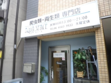 アクアスペースの画像1