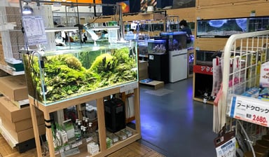 エイチ・ツー 豊洲店の画像3