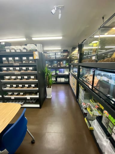 FINEREPTILES(ファインレプタイルズ)の画像3