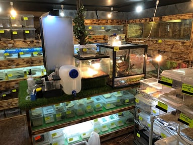 PETSHOP Sirius(シリウス)の画像3