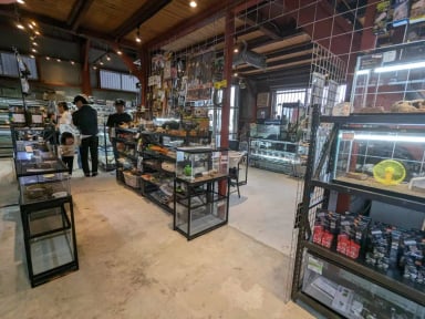 爬虫類カフェ ROCK STAR 堺店の画像2