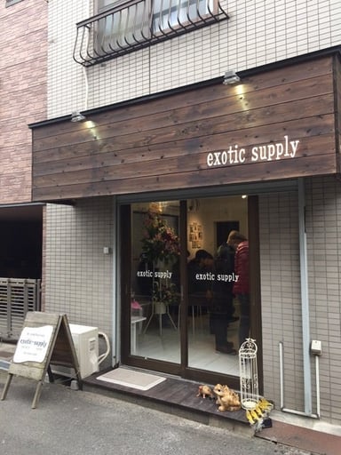 エキゾチックサプライ(exotic-supply)の画像1