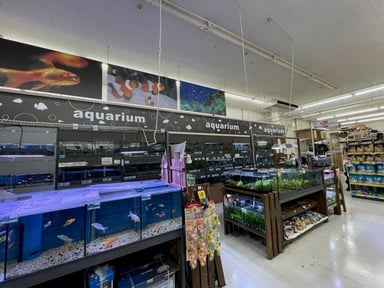 ペットプラザ 福島大開店の画像1