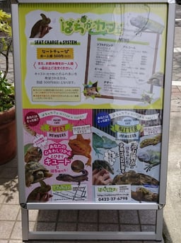 はちゅカフェ(爬虫類カフェ)の画像2