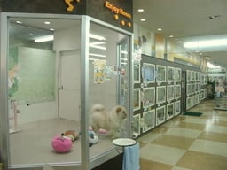 ペットワールド アミーゴ 神戸西店の画像3