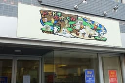 DK2P(ドキドキペットくん)の画像1