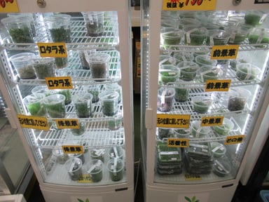 かねだい戸田店の画像1