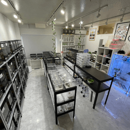 G.O.LAB.の画像1