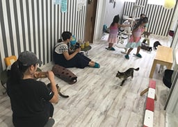 Pet Space MILKの画像2