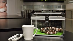 ヘビカフェ -cafe&snake- 東京スネークセンターの画像2