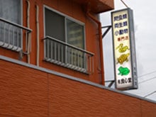 爬虫類ショップ 良心堂の画像1