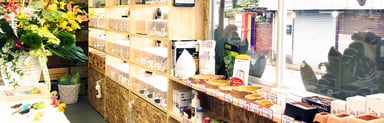 小さな爬虫類専門店『とげとげ』の画像3