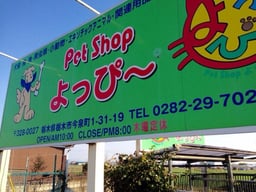 PerShopよっぴ~の画像2