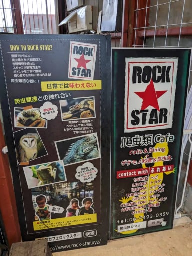 爬虫類カフェ ROCK STAR 堺店の画像3