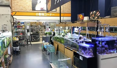 エイチ・ツー 豊洲店の画像2