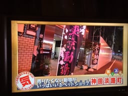 東京動楽の画像1
