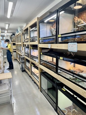 爬虫類倶楽部 中野店の画像2