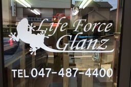 Life Force(ライフフォース)の画像1