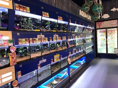 ペットワールド アミーゴ 春日井店の画像2