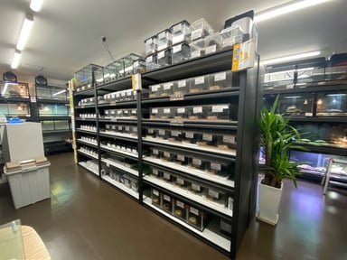 FINEREPTILES(ファインレプタイルズ)の画像1