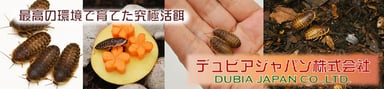 デュビアジャパン株式会社の画像1