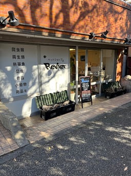 Revier(レヴィア)の画像1