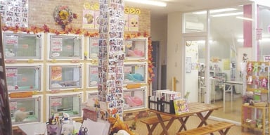 ひごペット東淀川店の画像2