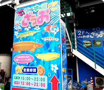 リトル水族館ざうおの画像1