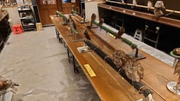 OWL☆WANの画像3