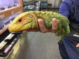 リミックス・ペポニ みなと店の画像3