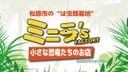 爬虫類カフェ ROCK STAR 松原店(旧:ミニラズファクトリー)