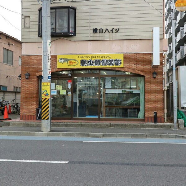 爬虫類倶楽部仙台店