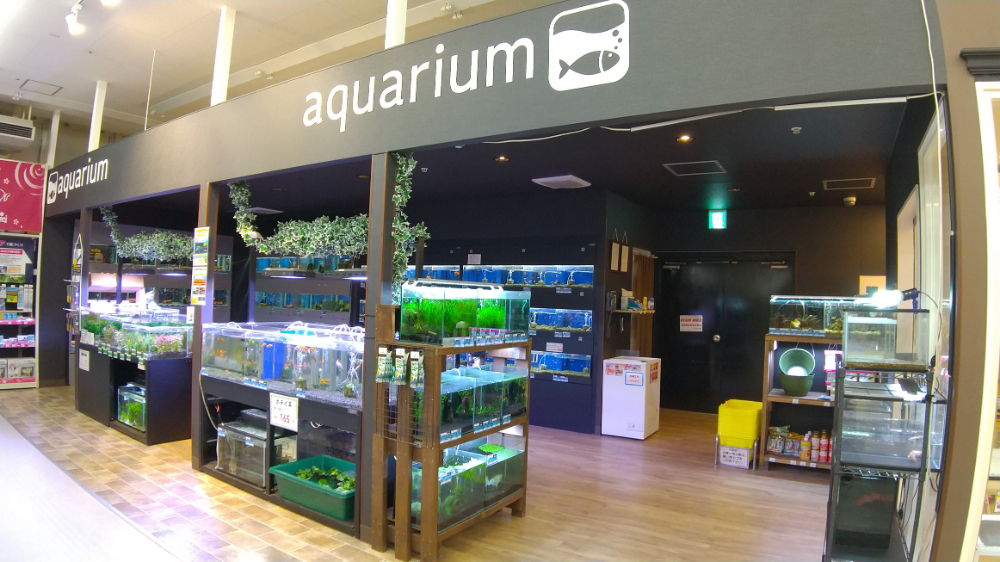 ペットプラザ箕面今宮店