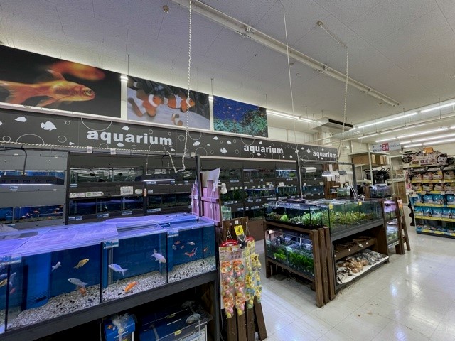 ペットプラザ 福島大開店