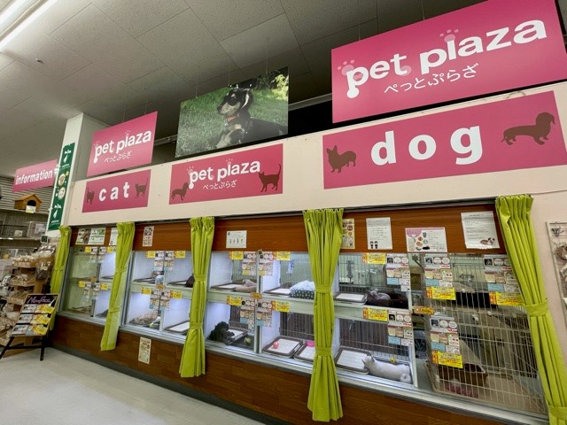 ペットプラザ 福島大開店