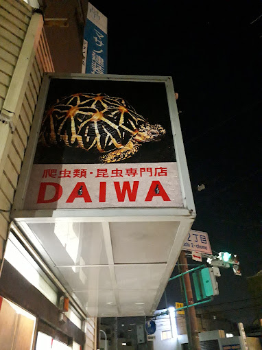 プロショップDAIWA